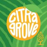 Beer Tree - Citra Grove 0 (415)