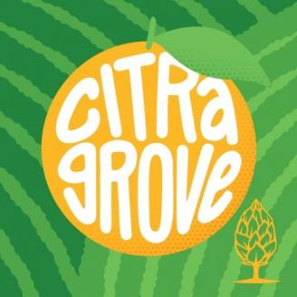 Beer Tree - Citra Grove (4 pack 16oz cans) (4 pack 16oz cans)