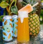 Beer Tree - Pineapple Creamsicle (415)