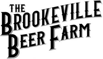 Brookeville Beer Farm - Yellow Finch (4 pack 16oz cans) (4 pack 16oz cans)